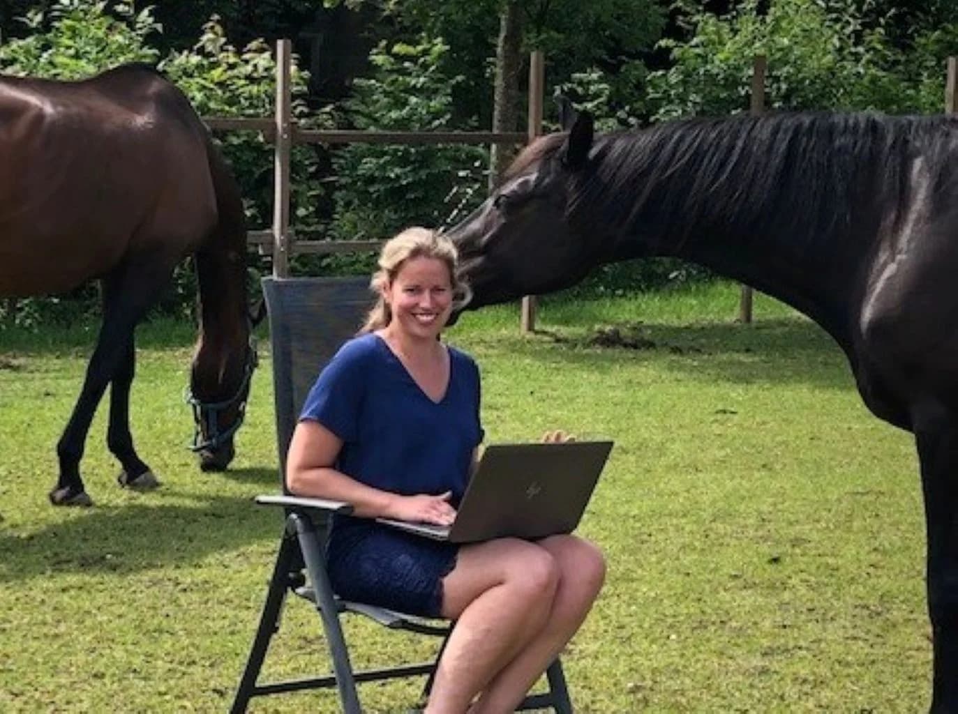 Paardencoaching: wat is het en hoe het jou helpt in persoonlijke ontwikkeling